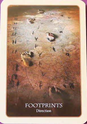 Divination of the Ancients Oracle